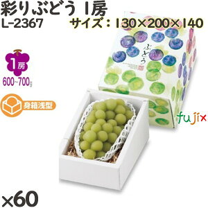 Ԃǂ ϔ L-2367 ʂԂǂ 1[ 60(10×60)^P[X t[cp Mtgp Mtg{bNX  ʕ p ʗp ʕp _{[