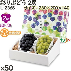 Ԃǂ ϔ L-2368 ʂԂǂ 2[ 50(10×50)^P[X t[cp Mtgp Mtg{bNX  ʕ p ʗp ʕp _{[