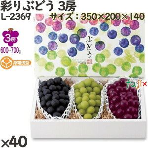 Ԃǂ ϔ L-2369 ʂԂǂ 3[ 40(10×4)^P[X t[cp Mtgp Mtg{bNX  ʕ p ʗp ʕp _{[