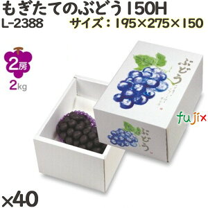 Ԃǂ ϔ L-2388 Ă̂Ԃǂ150H 40(10×4)^P[X t[cp Mtgp Mtg{bNX  ʕ p ʗp ʕp _{[