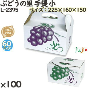 Ԃǂ ϔ L-2395 Ԃǂ̗   100(25×4)^P[X t[cp Mtgp Mtg{bNX  ʕ p ʗp ʕp _{[