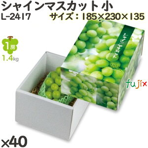 Ԃǂ ϔ L-2417 VC}XJbg  40(10×4)^P[X t[cp Mtgp Mtg{bNX  ʕ p ʗp ʕp _{[