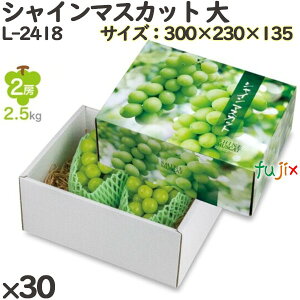 Ԃǂ ϔ L-2418 VC}XJbg  30(10×3)^P[X t[cp Mtgp Mtg{bNX  ʕ p ʗp ʕp _{[