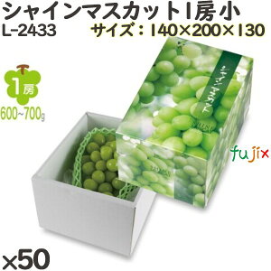 y|Cg5{ vGg[zԂǂ ϔ L-2433 VC}XJbg1[  50(10×5)^P[X t[cp Mtgp Mtg{bNX  ʕ p ʗp ʕp _{[