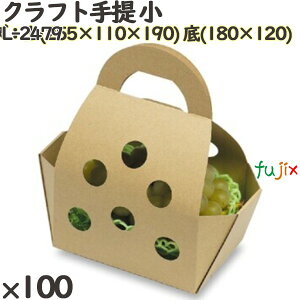  L-2479 Ntg  100 t[cp Mtgp