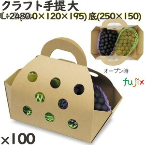  L-2480 Ntg  100 t[cp Mtgp