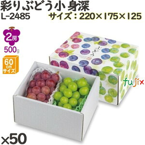 Ԃǂ ϔ L-2485 ʂԂǂ g[ 50(10×5)^P[X t[cp Mtgp Mtg{bNX  ʕ p ʗp ʕp _{[