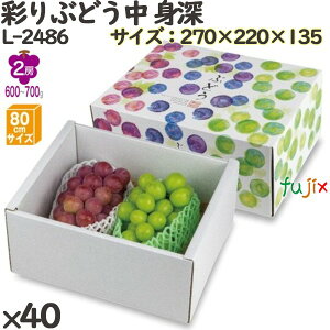 Ԃǂ ϔ L-2486 ʂԂǂ g[ 40(10×4)^P[X t[cp Mtgp Mtg{bNX  ʕ p ʗp ʕp _{[