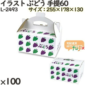 Ԃǂ ϔ L-2493 CXg Ԃǂ 60 100(10×10)^P[X t[cp Mtgp Mtg{bNX  ʕ p ʗp ʕp _{[