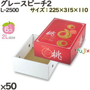  ϔ L-2500 O[Xs[`2 50(10×5)^P[X  t[cp Mtgp Mtg{bNX  ʕ p ʗp ʕp ϔ