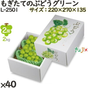 Ԃǂ ϔ L-2501 Ă̂ԂǂO[ 40(10×4)^P[X t[cp Mtgp Mtg{bNX  ʕ p ʗp ʕp _{[