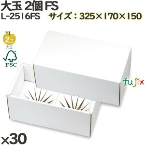 y|Cg5{ vGg[z ϔ L-2516FS  2 FS 30(30)^P[X t[cp Mtg{bNX  ʕ p ʗp ʕp Mtgp