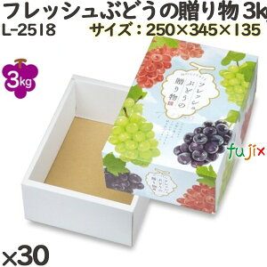 y|Cg5{ vGg[zԂǂ ϔ L-2518 tbVԂǂ̑蕨 3kg[ 30(10×3)^P[X t[cp Mtgp Mtg{bNX  ʕ p ʗp ʕp _{[