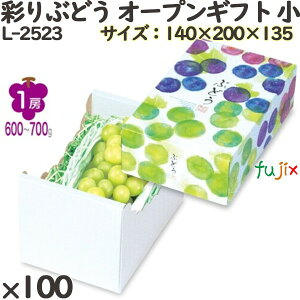 Ԃǂ ϔ L-2523 ʂԂǂ I[vMtg  100 t[cp Mtgp Mtg{bNX  ʕ p ʗp ʕp _{[