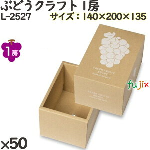 Ԃǂ ϔ L-2527 ԂǂNtg 1[ 50(10×5)^P[X t[cp Mtgp Mtg{bNX  ʕ p ʗp ʕp _{[
