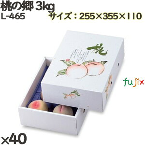  ϔ L-465 ̋ 3kg 40(10×4)^P[X  t[cp Mtgp Mtg{bNX  ʕ p ʗp ʕp ϔ