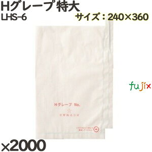 �Ԃǂ��p�|�� LHS-6 H�O���[�v ���� 2000��(2000)�^�P�[�X