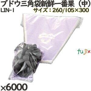 Ԃǂp Mtg LIN-1 uhEOpܐVNԉʁij 6000(6000)^P[X