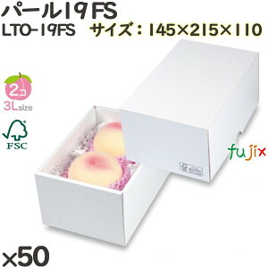  ϔ LTO-19FS p[19 FS 50(25×2)^P[X  t[cp Mtgp Mtg{bNX  ʕ p ʗp ʕp ϔ
