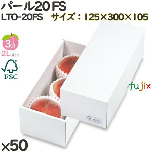  ϔ LTO-20FS p[20 FS 50(25×2)^P[X  t[cp Mtgp Mtg{bNX  ʕ p ʗp ʕp ϔ
