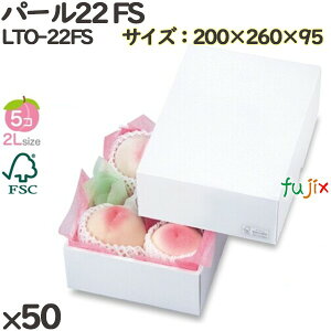  ϔ LTO-22FS p[22 FS 50(25×2)^P[X  t[cp Mtgp Mtg{bNX  ʕ p ʗp ʕp ϔ