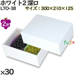 y|Cg5{ vGg[zԂǂ ϔ LTO-38 zCg2 [ 30(10×3)^P[X t[cp Mtgp Mtg{bNX  ʕ p ʗp ʕp _{[