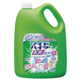 花王 ワイドハイターEXパワー業務用 509819 00022075【北海道・沖縄・離島配送不可】