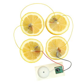 アーテック 1日で終わる自由研究キット 簡単レモン電池キット 058941