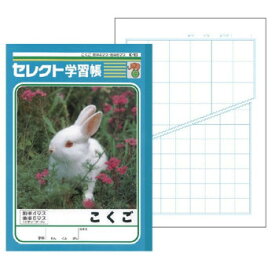 楽天市場 ノート 4マスの通販