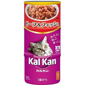 （まとめ買い）カルカン ハンディ缶 KHC06 1歳から ビーフ＆フィッシュ 160g×3缶 猫用缶詰 キャットフード 〔×9〕【代引不可】【北海道・沖縄・離島配送不可】