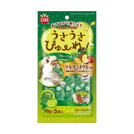 マルカン うさうさぴゅーれ フルーツ青汁 10g×5本 ウサギ用フード 【北海道・沖縄・離島配送不可】