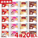 不二家 公式 送料無料 シュークリーム凍っちゃいました！ いっぱい詰めちゃいました！ アイス アイスクリーム シュー…