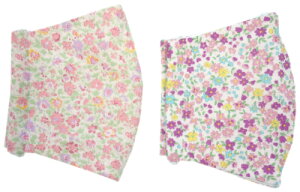 { ԕz}XN 2Zbg 100% \h 킢 ꂢ   n l 