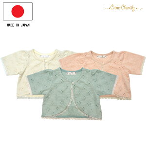 { xr[{ 70cm 80cm 90cm N[VeB p^[ bV { xr[ ̎q J[fBK HD J[f ͂蕨 xr[J[fBK [X t  H   킢