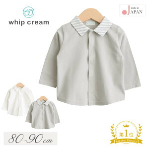 yő10OFFN[| 12/4 20:00`z { xr[ Vc 80cm 90cm zCbvN[  x VVc  xr[ j̎q ̎q ItzCg O[ gbvX uEX Vv tH[}