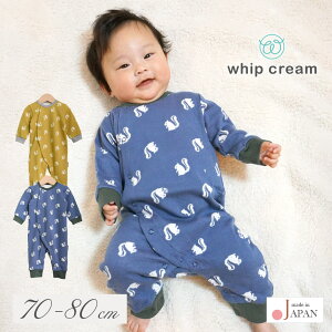 { X  Jo[I[ p[X c[EFCI[ 70 80 cm ڌ V zCbvN[  xr[ V xr[ j̎q ̎q jp t H ~ H~   킢 k