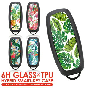 Y X}[gL[P[X Zi C28 GNXgC T33 TN B6AW AA FE0 L[P[X p[c X}[gL[Jo[ ANZT[ JX^ hXAbv  킢 Y fB