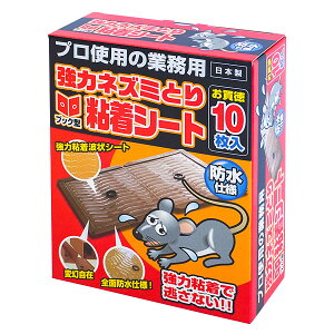 xmi@̓lY~ƂSV[ghdl10iPPj