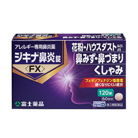 ★【第2類医薬品】 ジキナ鼻炎錠＜FX＞ (120錠)60日分