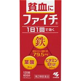【第2類医薬品】小林製薬 ファイチ 120錠