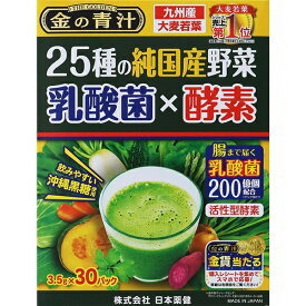 25種の純国産野菜 乳酸菌×酵素　30包