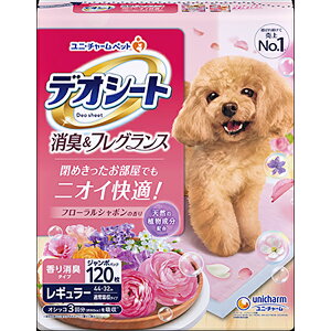 fIV[g LtOX t[V{̍ M[ 120×4(1P[X)