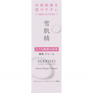 y򕔊Oizᔧ NAEFlX CXgyA N[ 40g