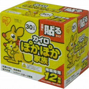 ۂۂƑ\郌M[ PKN-30 30