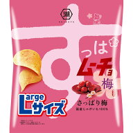湖池屋 Largeサイズ すっぱムーチョチップス さっぱり梅 105g×12袋 (1ケース)