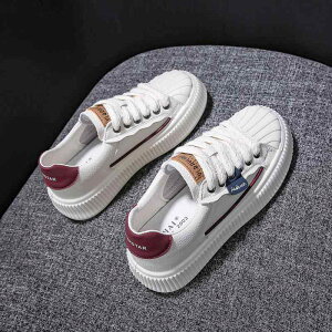 Xj[J[ fB[X   V[Y 3.5cm q[ R ؍ g 킢 oCJ[   JWA zCg [Jbg [XAbv ^ C ʊw 