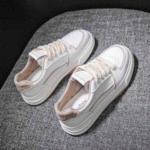 Xj[J[ fB[X  C JWA V[Y t 2023 X|[c  tbg zCg O[  F Vv ꂢ R ₷ p  Nc