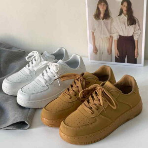 Xj[J[ fB[X  V[Y  F C  2023 ꂢ n R [Jbg 3cm q[ [XAbv zCg ؍ w ʊw PF  Vv Xj[J[