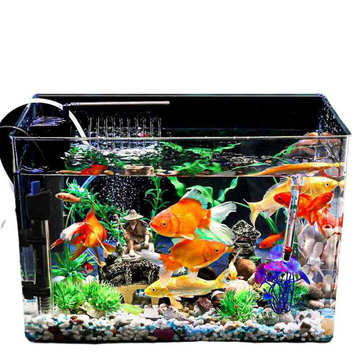 楽天市場】水槽 人気 おすすめ 新作 透明 水生生物 金魚 魚 かめ  