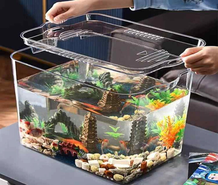 楽天市場】水槽 蓋付き ふたなし 金魚 魚 水生生物 かめ 透明 家庭用 